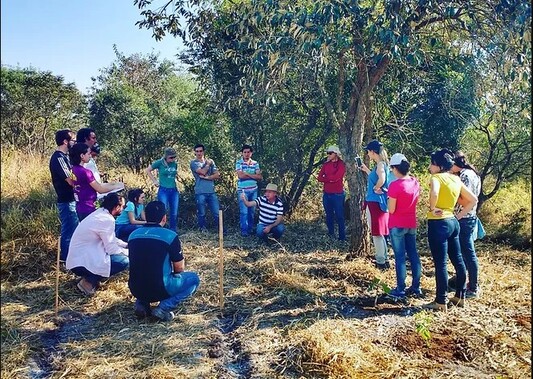 UFSCar capacita profissionais para Restauração de Ecossistemas