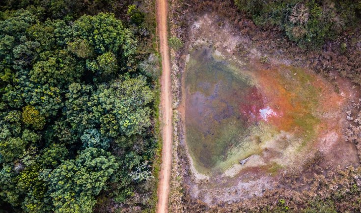 Concurso de Fotografia do Cerrado da UFSCar recebe inscrições