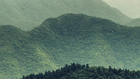 Curso Online de Gestão e Auditoria Ambiental recebe inscrições