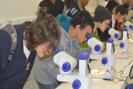 Programa Futuro Cientista conquista 3º lugar do Prêmio Péter Murányi